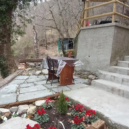 Lo Scoiattolo Bianco *